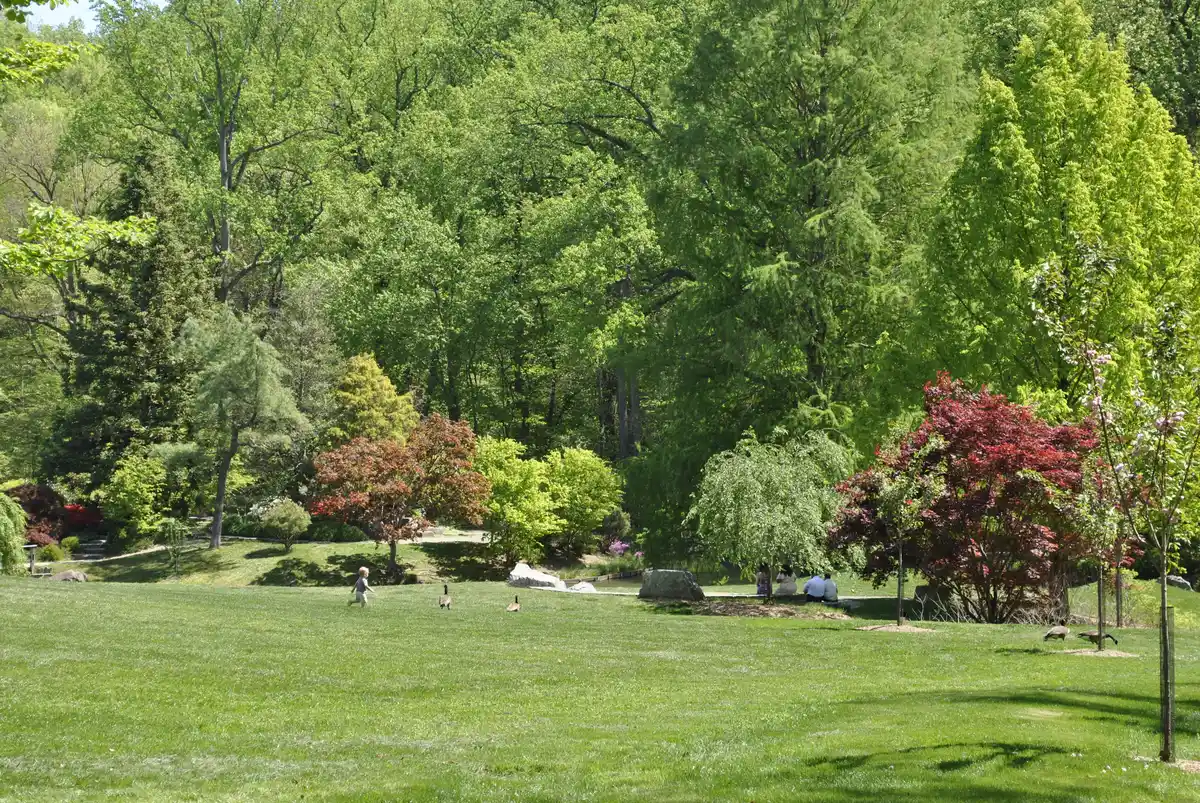 Brookside Gardens